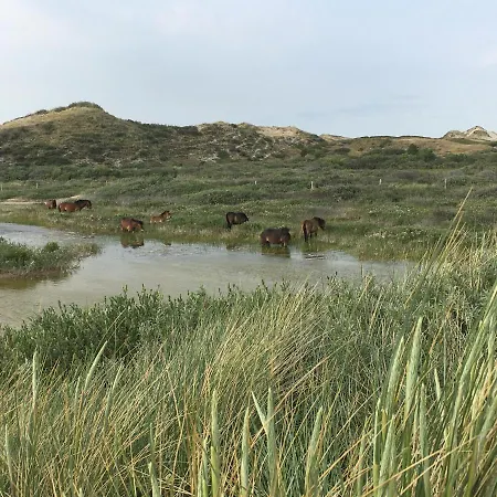 De Duinlopers - Appt Bries - Strand, Duinen En Nabij Cultuur Steden Vakantiehuis *