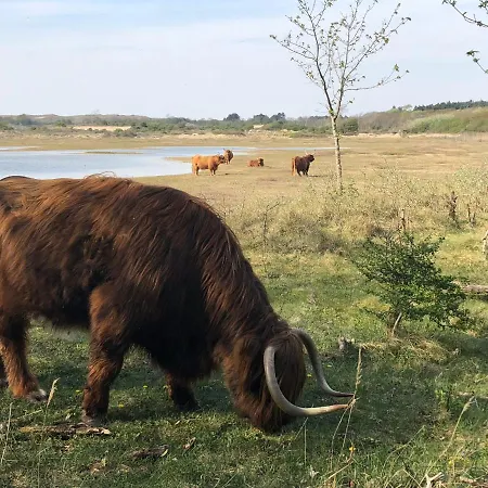 De Duinlopers - Appt Bries - Strand, Duinen En Nabij Cultuur Steden