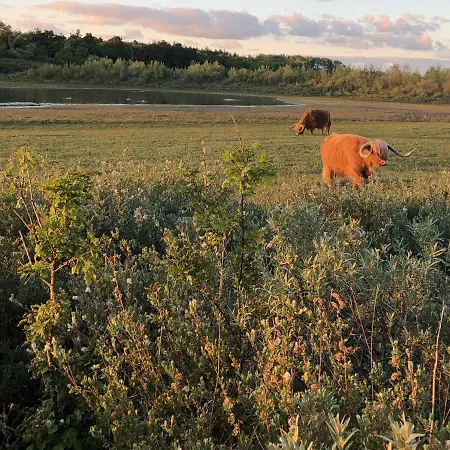 De Duinlopers - Appt Bries - Strand, Duinen En Nabij Cultuur Steden Tatil Evi Castricum