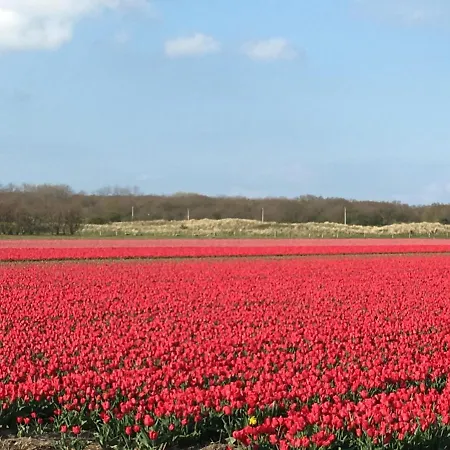 Holiday home De Duinlopers - Appt Bries - Strand, Duinen En Nabij Cultuur Steden