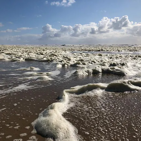De Duinlopers - Appt Bries - Strand, Duinen En Nabij Cultuur Steden Tatil Evi Castricum
