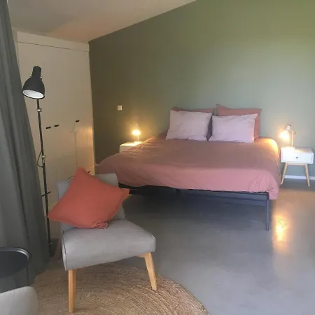 De Duinlopers - Appt Bries - Strand, Duinen En Nabij Cultuur Steden