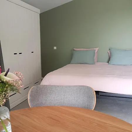 De Duinlopers - Appt Bries - Strand, Duinen En Nabij Cultuur Steden * Castricum