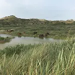 De Duinlopers - Appt Bries - Strand, Duinen En Nabij Cultuur Steden Casa de Férias *