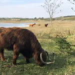 De Duinlopers - Appt Bries - Strand, Duinen En Nabij Cultuur Steden