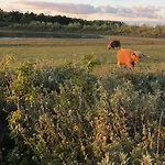 De Duinlopers - Appt Bries - Strand, Duinen En Nabij Cultuur Steden Casa de Férias Castricum