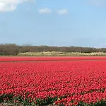 Casa de Férias De Duinlopers - Appt Bries - Strand, Duinen En Nabij Cultuur Steden