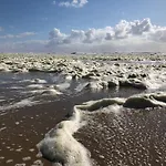 De Duinlopers - Appt Bries - Strand, Duinen En Nabij Cultuur Steden Casa de Férias Castricum